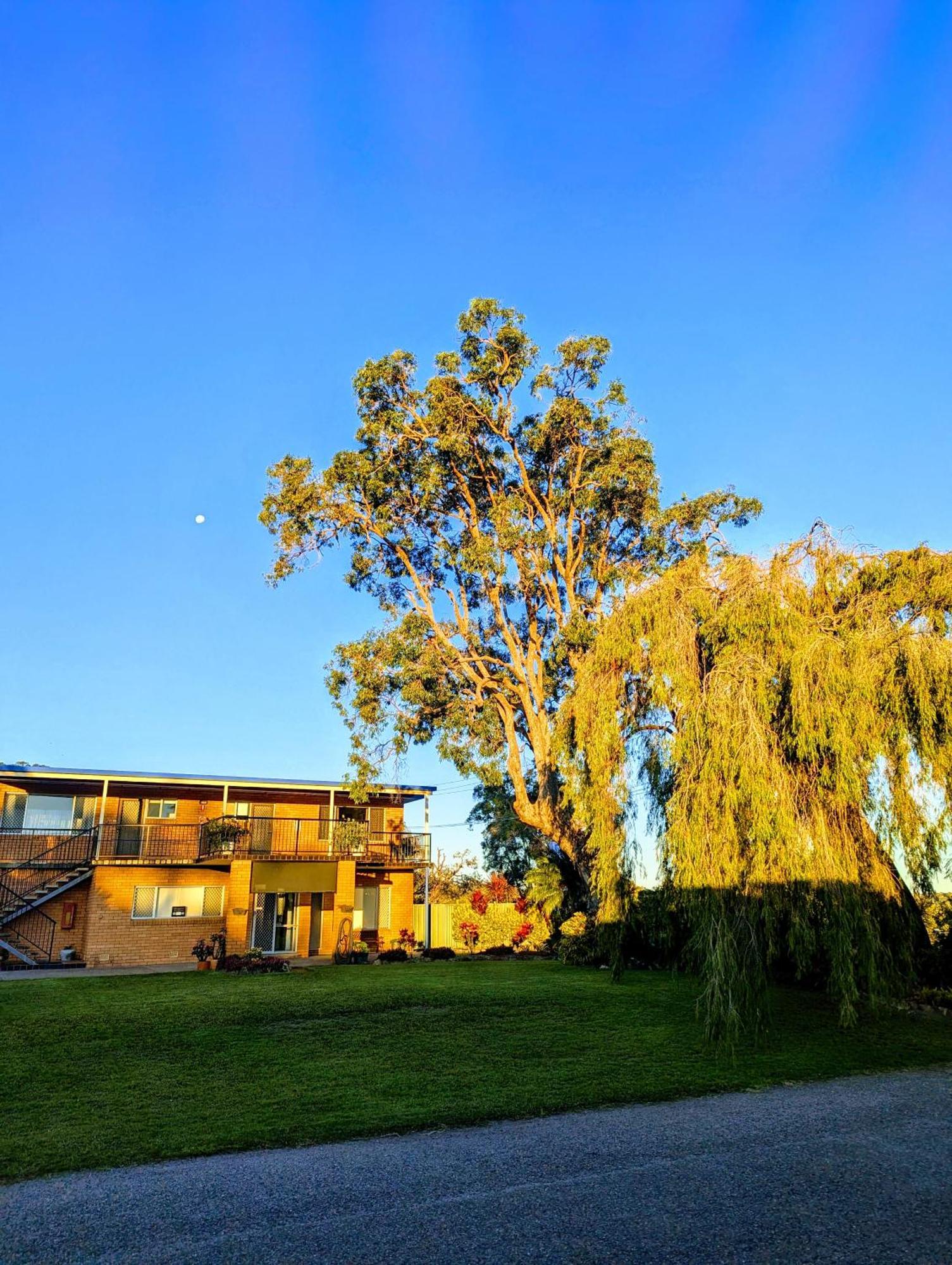 Haven Waters Motel & Apartments ノース・ヘブン エクステリア 写真